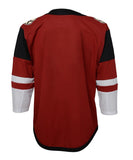 ARIZONA COYOTES JUNIOR PREMIER JERSEY - Arizona-Coyotes-Kids-Premier-Jersey-Back-min