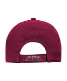 COLORADO AVALANCHE KID'S PRIMARY LOGO CAP - Colorad-Avalanche-Kids-Primary-Logo-Cap-Back-min