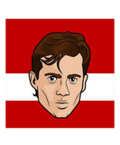 STEVE YZERMAN DETROIT RED WINGS SOCKEY HALL OF FAME SOCKS - STEVE-YZERMAN-DETROIT-RED-WINGS-SOCKEY-HALL-OF-FAME-SOCKS-2